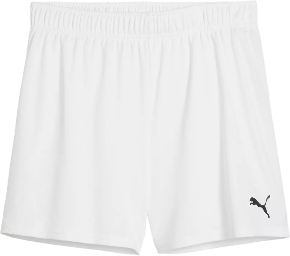 Σορτς Puma teamGOAL Handball Shorts W