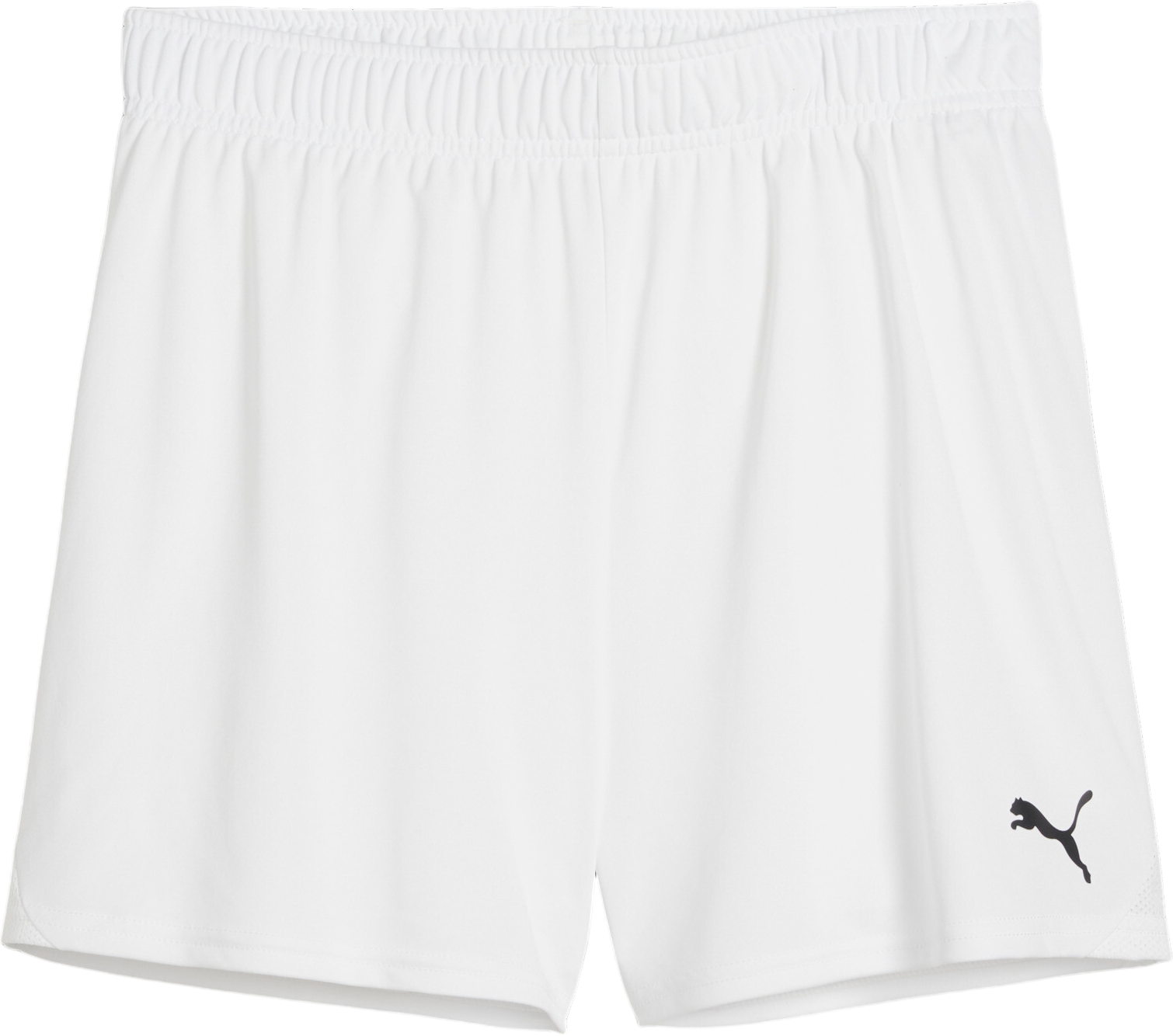 Σορτς Puma teamGOAL Handball Shorts W