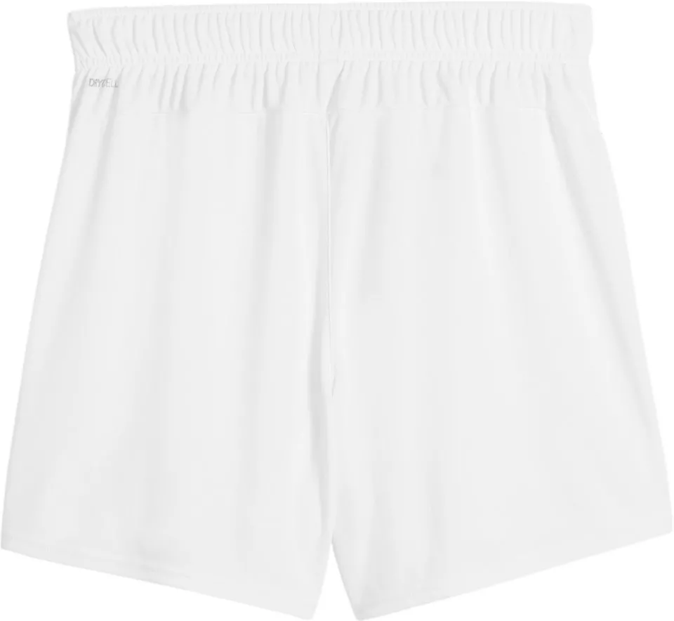 Σορτς Puma teamGOAL Handball Shorts W