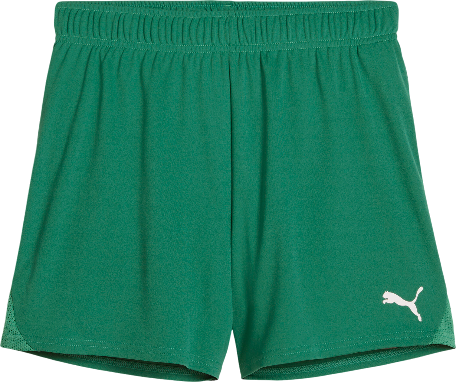 Pantalón corto Puma teamGOAL Handball Shorts W