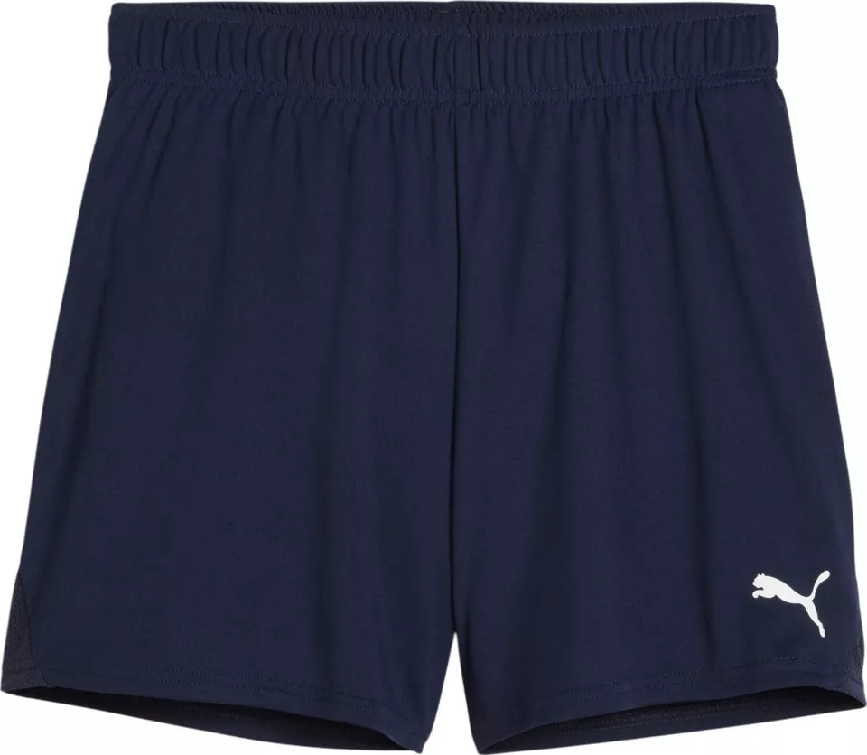 Puma teamGOAL Handball Shorts W