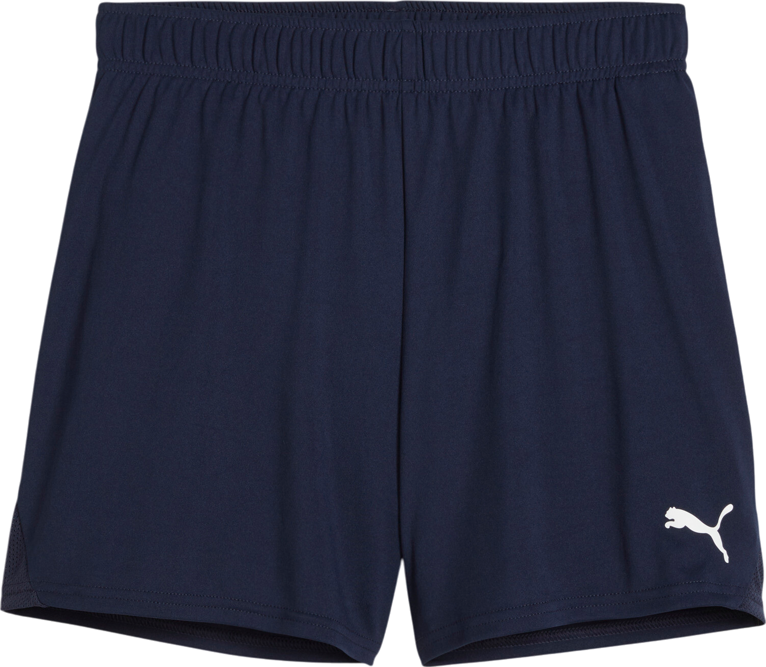 Puma teamGOAL Handball Shorts W
