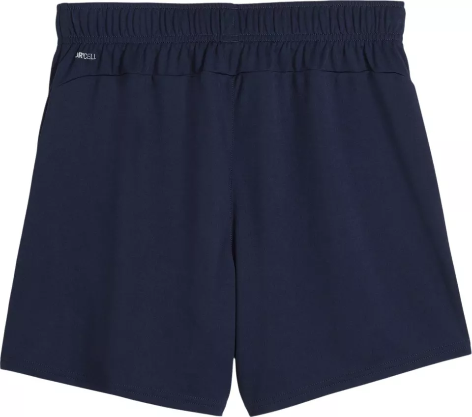 Puma teamGOAL Handball Shorts W