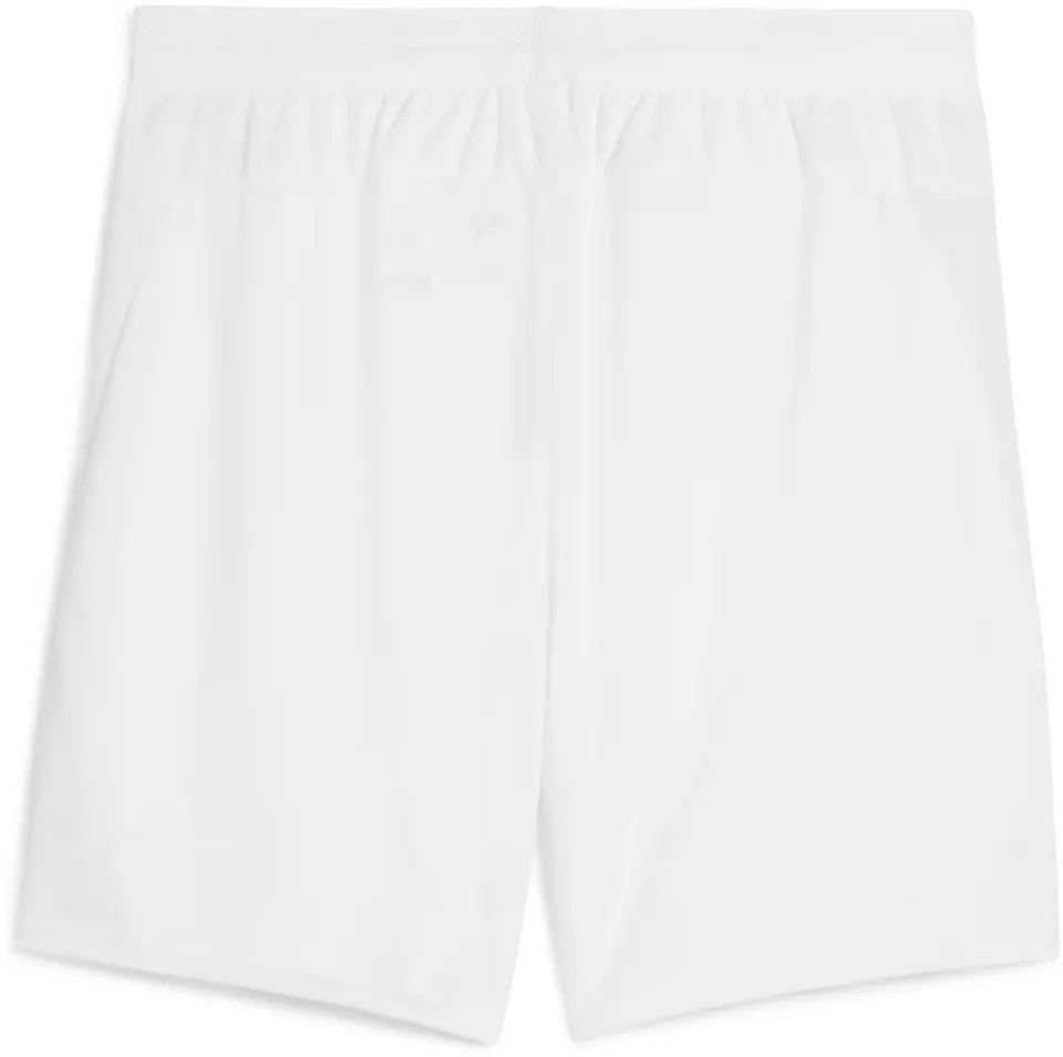 Puma teamCUP Shorts