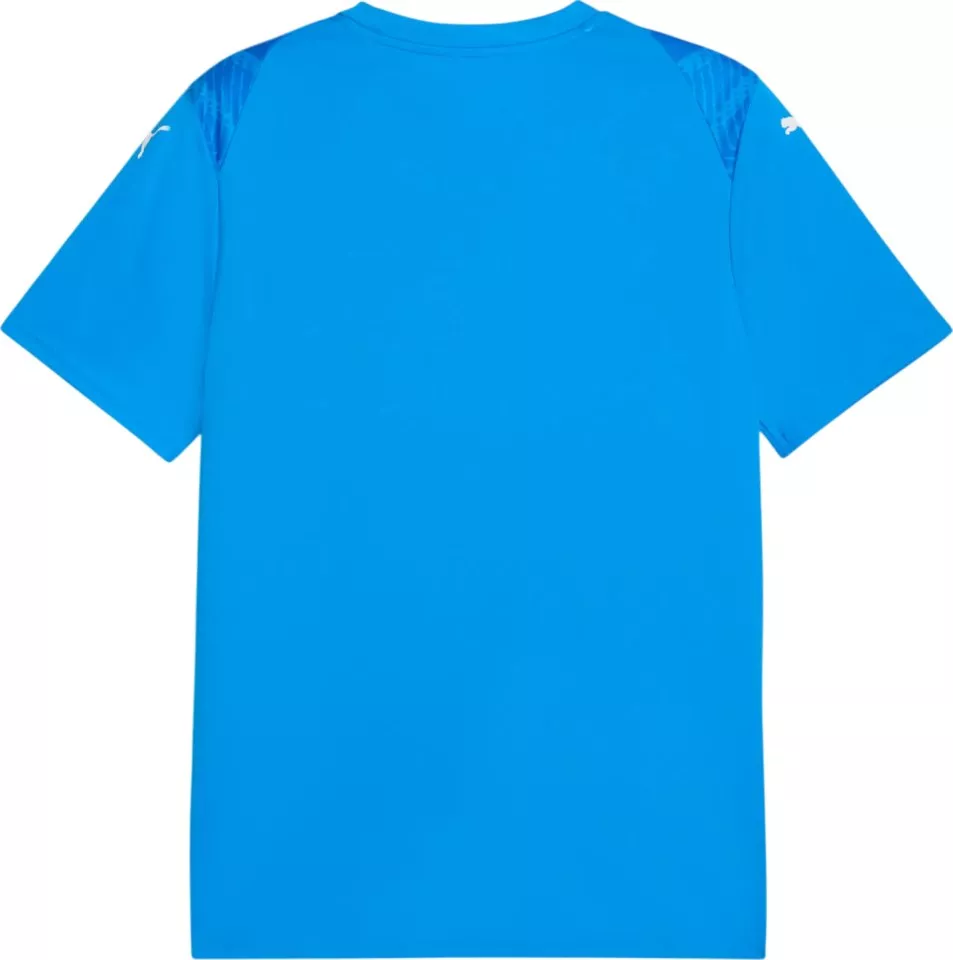 Camisa Puma teamULTIMATE Jersey