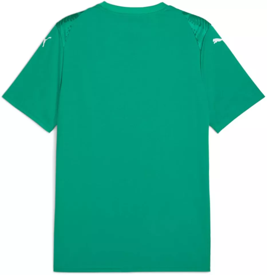 Puma teamULTIMATE Jersey Póló