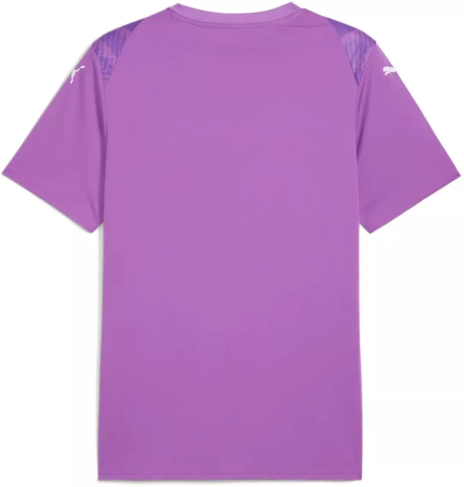 Camisa Puma teamULTIMATE Jersey