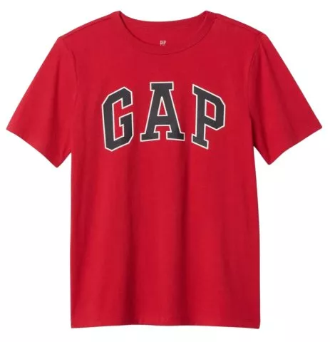 GAP Basic Logo