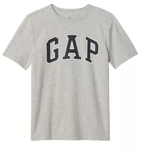 GAP Basic Logo
