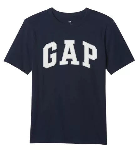 GAP Basic Logo