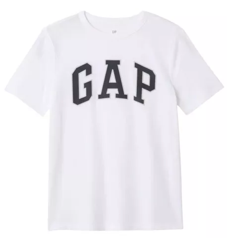 GAP Basic Logo