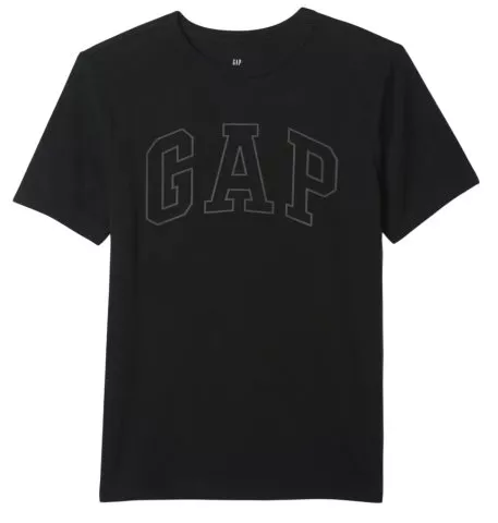 GAP Basic Logo