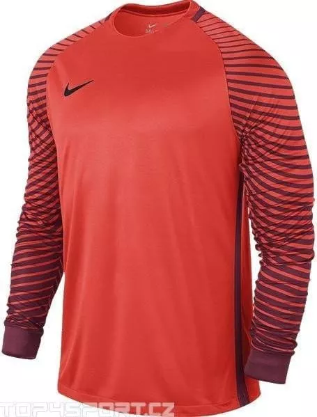 Langærmet trøje Nike Guardian GK kids