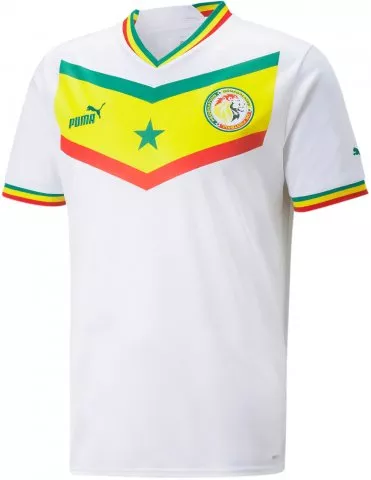 Senegal Home 2022/23 Replica Jersey Men