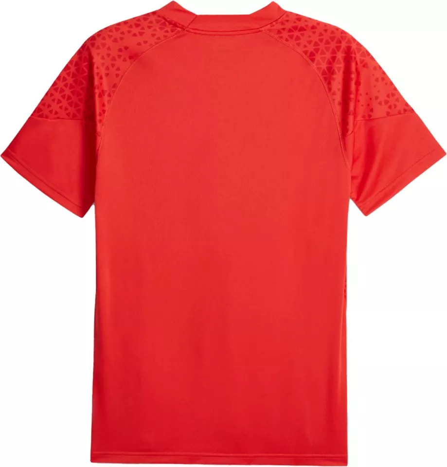 Koszulka Puma AC Milan Football Training Jersey
