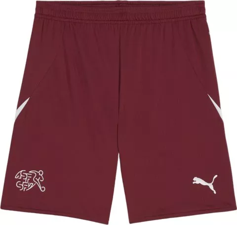 SFV Shorts Replica 2024