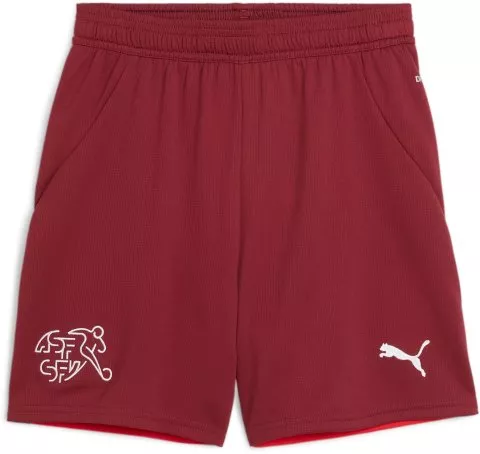 SFV Shorts Replica Jr 2024