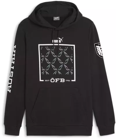 Akids Ftblicons Men's Hoodie