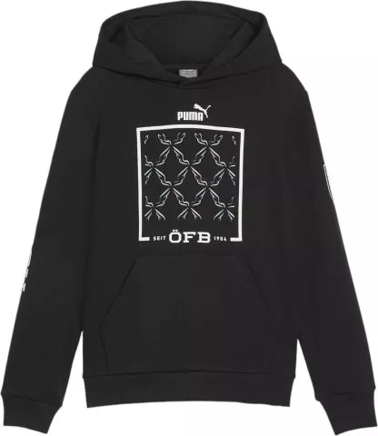 Austria Ftblicons Hoodie Jr