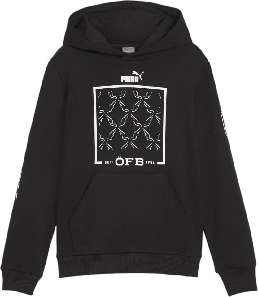 Φούτερ-Jacket με κουκούλα Puma Austria Ftblicons Hoodie Jr