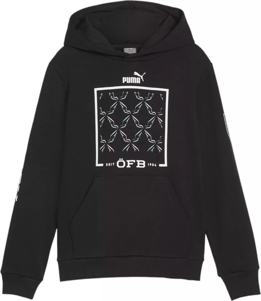 Φούτερ-Jacket με κουκούλα Puma Austria Ftblicons Hoodie Jr