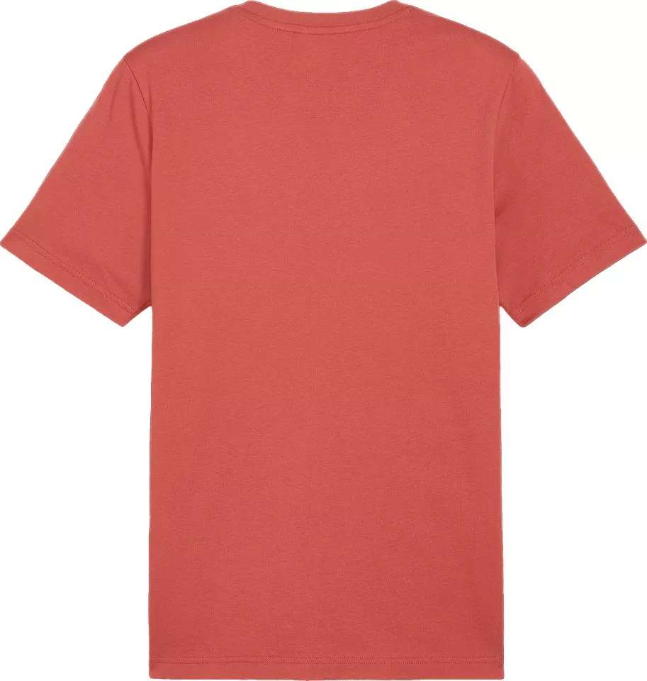 Camiseta Puma BVB ftblICONS Tee
