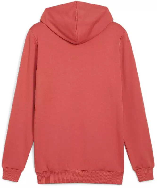 Sweatshirt med huva Puma BVB ftblICONS Hoody