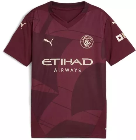 PSV Third Jersey Replica Jr 2024/25