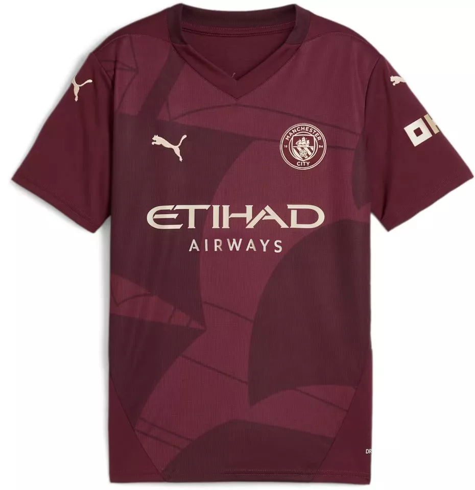 Dětský alternativní dres s krátkým rukávem Puma Manchester City 2024/25