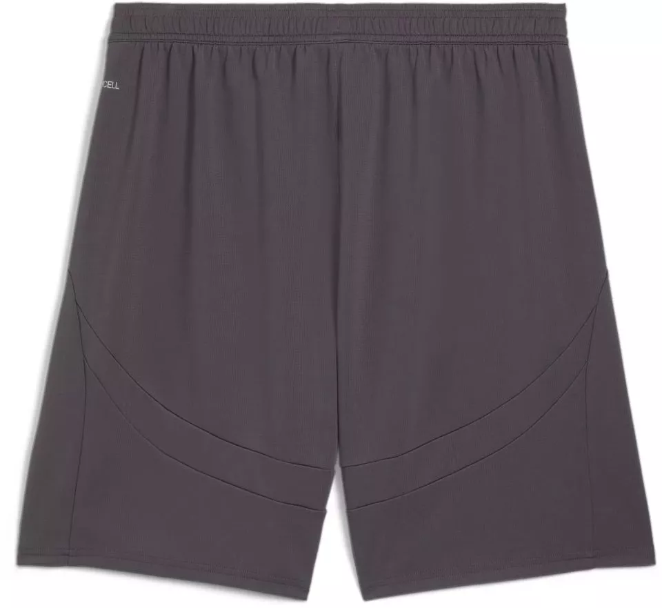 Шорти Puma ACM Shorts Replica 2024/25