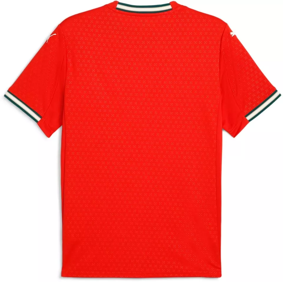 Camiseta de fútbol Puma Portugal 2025 Home Jersey Men