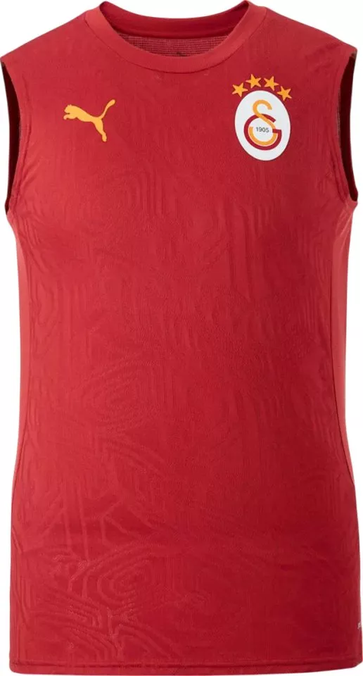 Linne Puma Galatasaray Istanbul Training SL T-Shirt