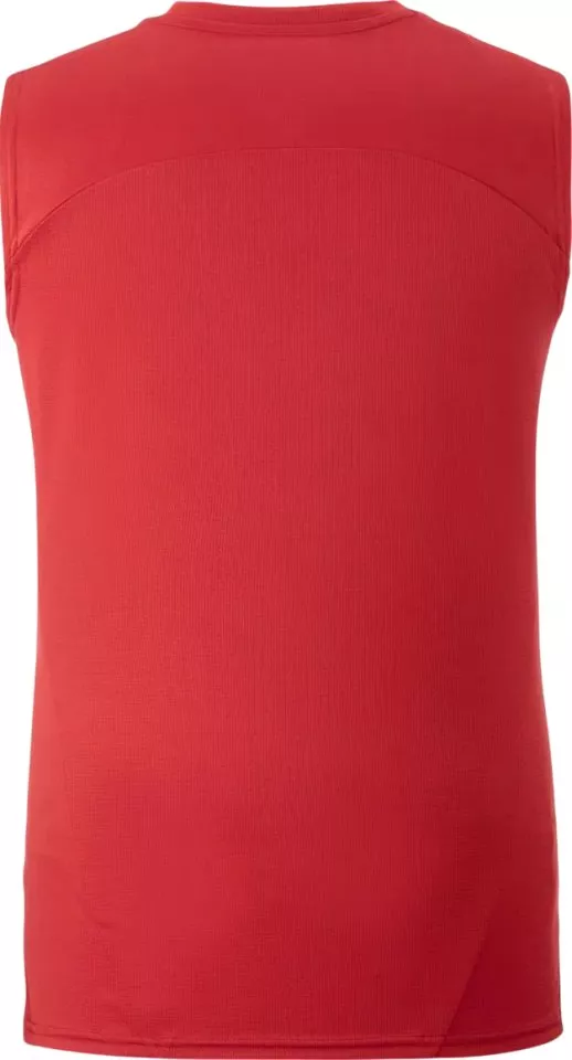 Linne Puma Galatasaray Istanbul Training SL T-Shirt