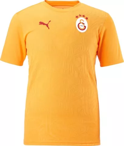 Galatasaray Istanbul Training T-Shirt