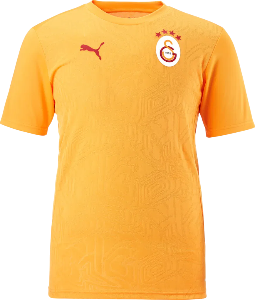Shirt Puma Galatasaray Istanbul Training T-Shirt