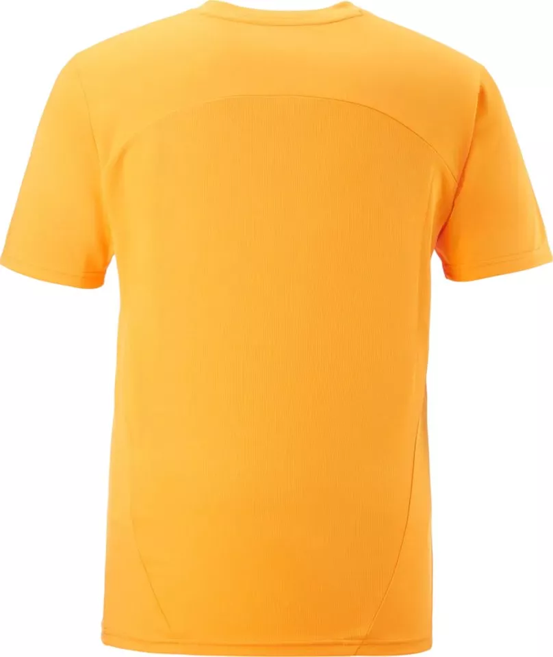 Shirt Puma Galatasaray Istanbul Training T-Shirt