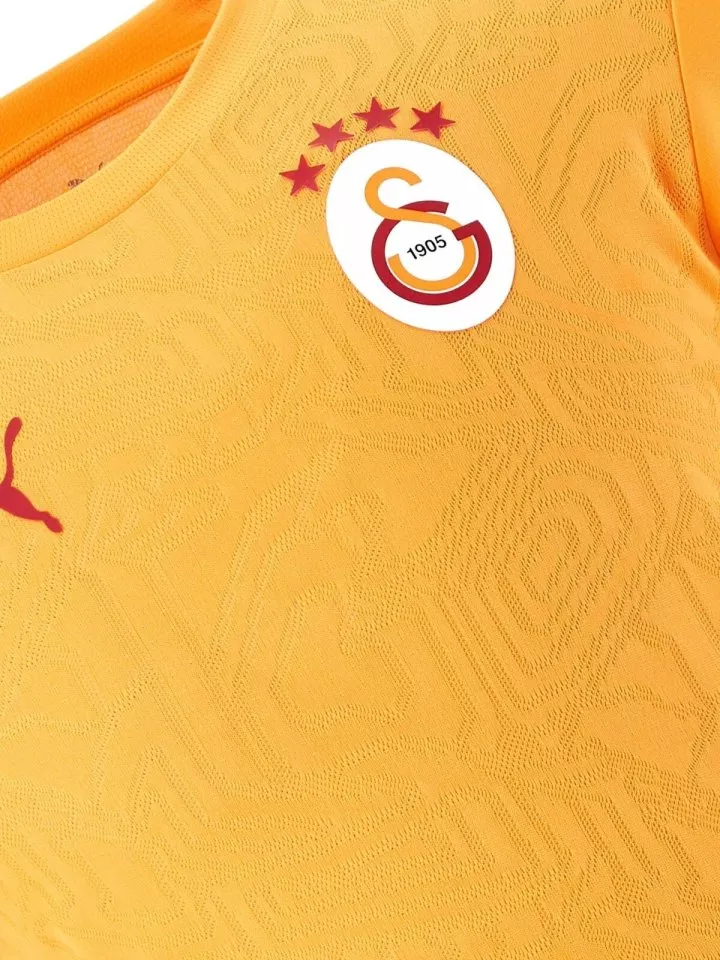 Shirt Puma Galatasaray Istanbul Training T-Shirt