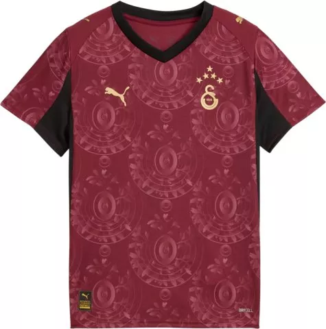 Galatasaray SK 3rd Jersey Replica w/o Sponsor 2025/26 Jr