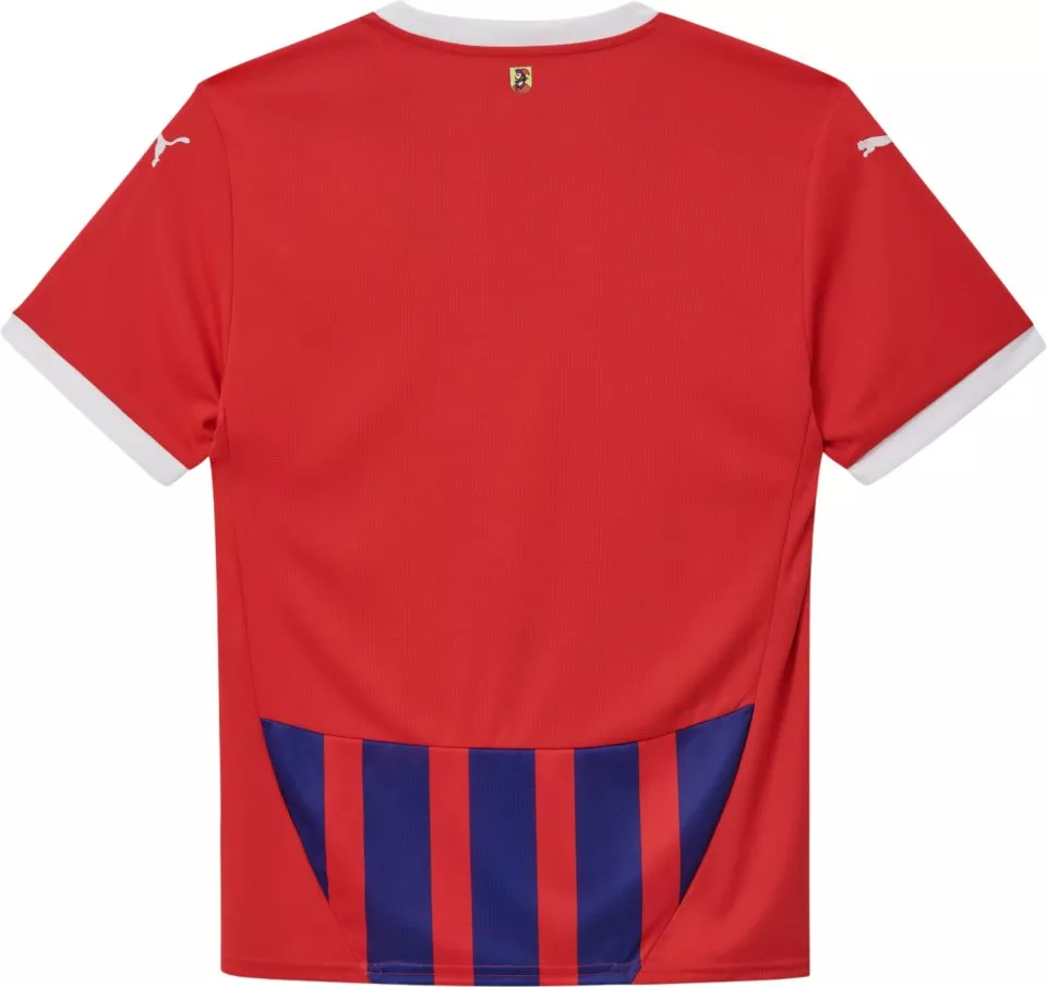 Dres Puma jersey 2024/2025