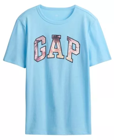 GAP Classic Logo