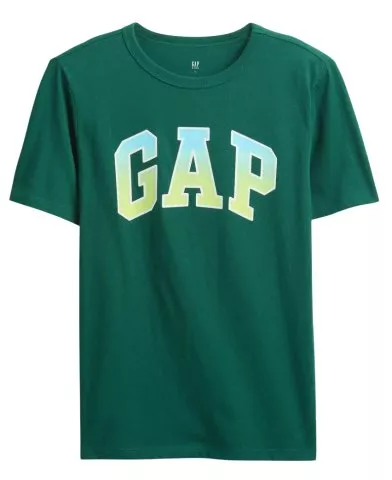 GAP Classic Logo