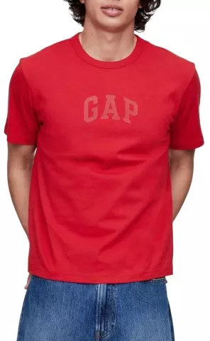 GAP Logo Americana