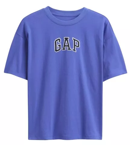 GAP Americana Original Logo