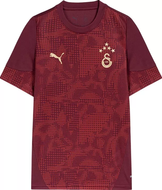 Dres Puma Galatasaray Istanbul Training Jersey Kids 2025/26
