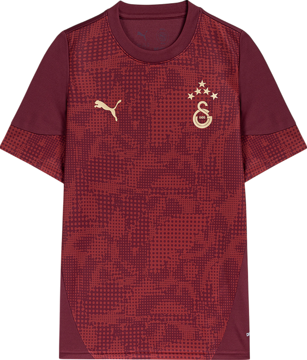 Dres Puma Galatasaray Istanbul Training Jersey Kids 2025/26