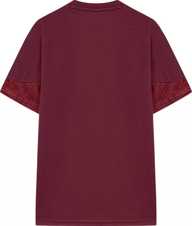 Dres Puma Galatasaray Istanbul Training Jersey Kids 2025/26