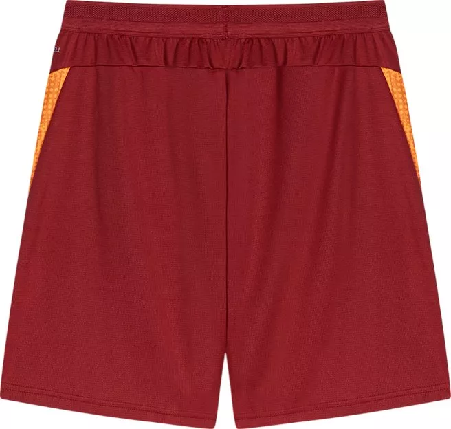 Σορτς Puma GSK Training Shorts w/ pockets 2025/26