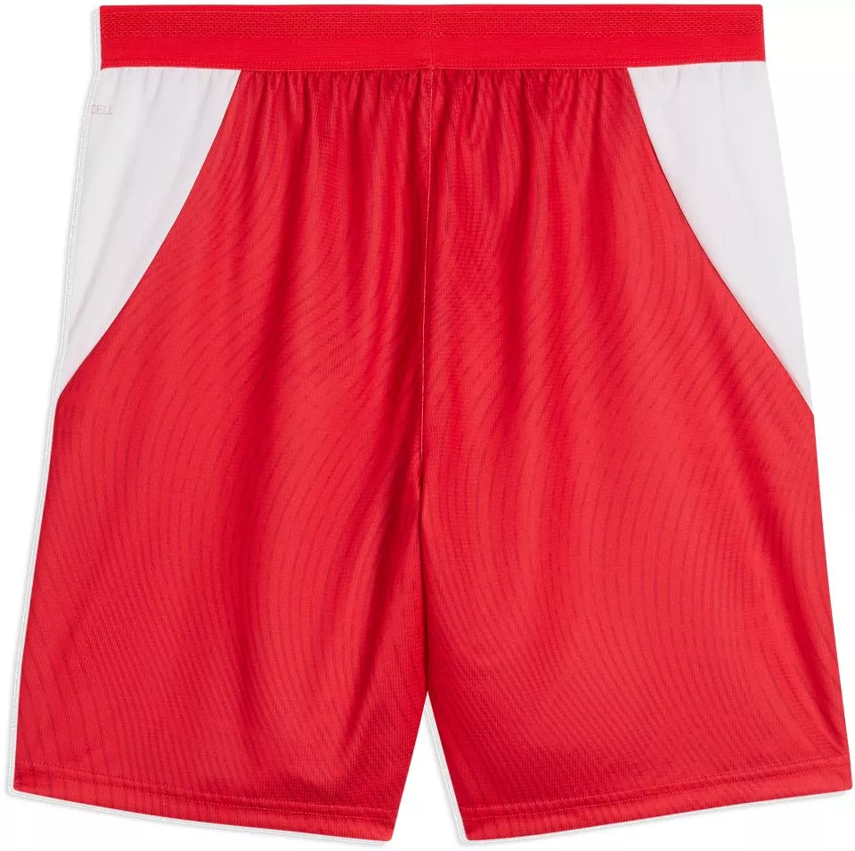 Shorts Puma Switzerland Replica Home 2026