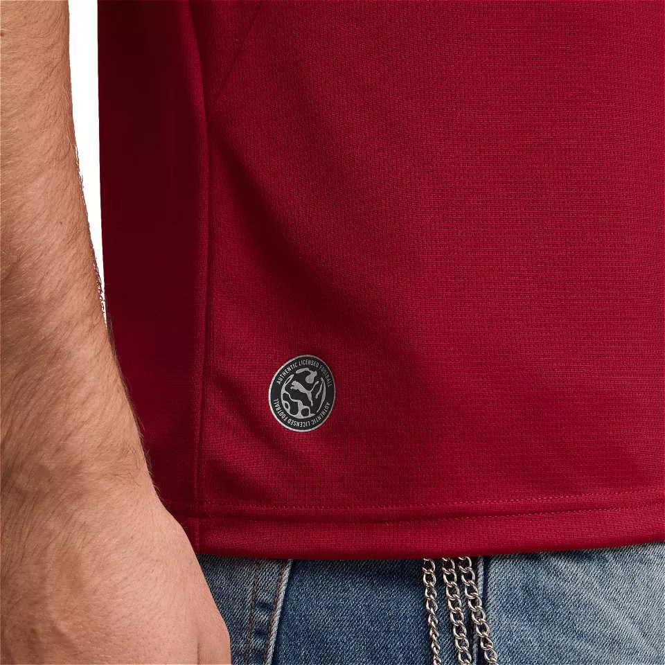 Paita Puma Czechia Replica Home 2026