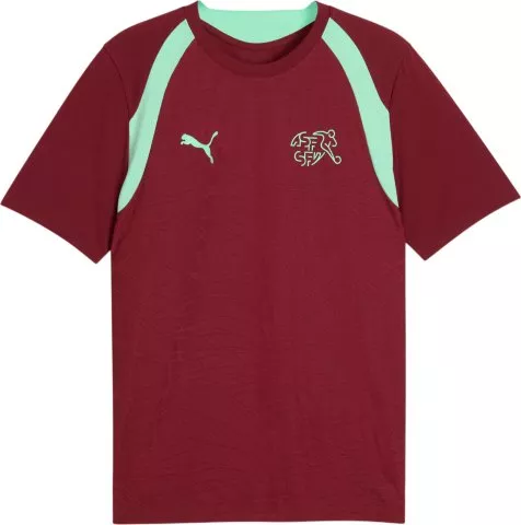 Switzerland Training